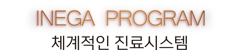 체계적인 진료