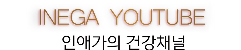 인애가 유튜브