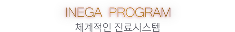 체계적인 진료