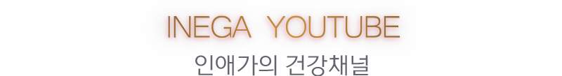 인애가 유튜브