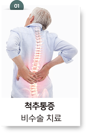 척추